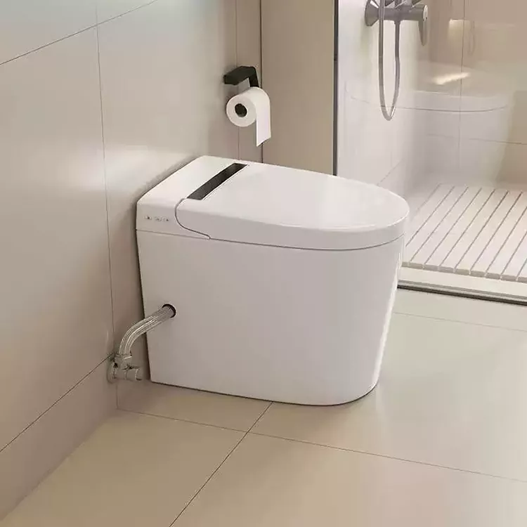 المرحاض الذكي البسيط الحديث